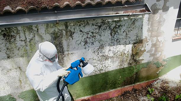 Trusted Bathroom Mold Removal service in Lignum, VA - Cheap Mold Removal
